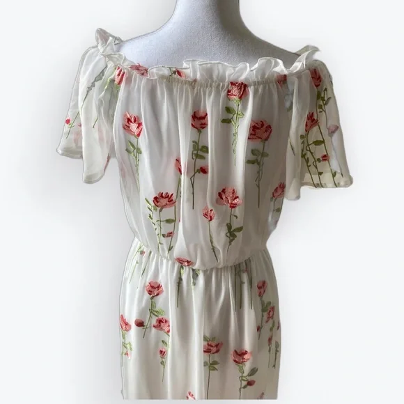 NWT Rose Embroidered Romantic Maxi Dress - Picture 3 of 7